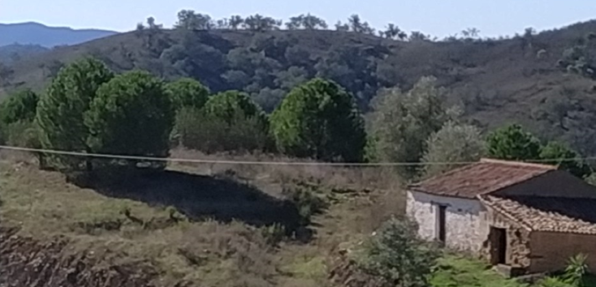 Terreno Rústico com Habitação